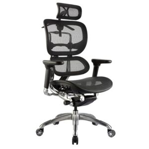 ERGO-1H.jpg