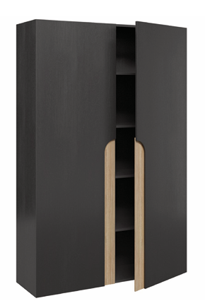 Amaya_2_Door_Cupboard.png