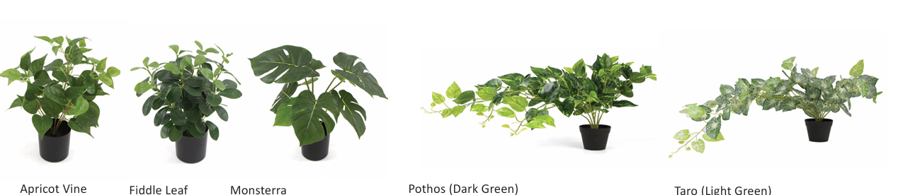 DD_Plant_Options-11.png