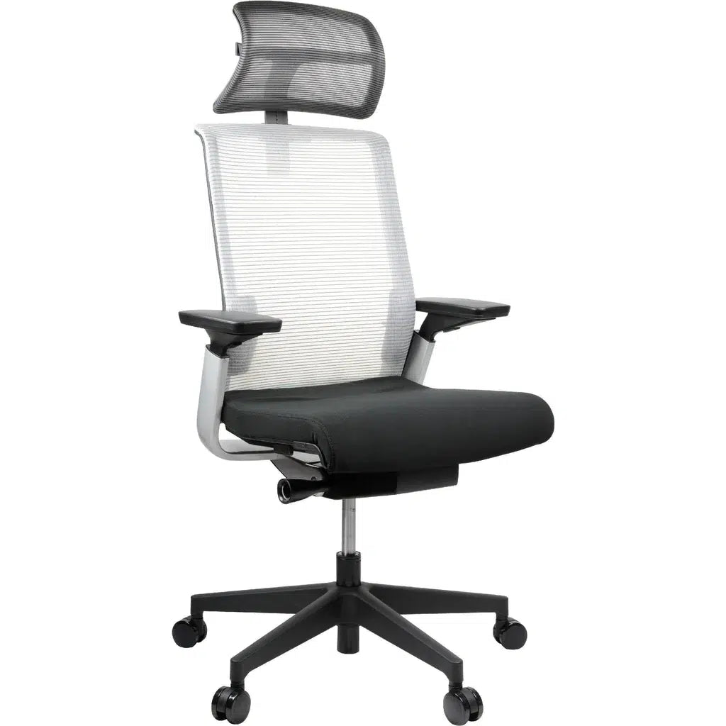 MatchChairMediumBackMeshW17MwithHeadrestW17Head_8_1024x1024_62b2594d-1770-450d-aebc-8d7d087c0093.jpg