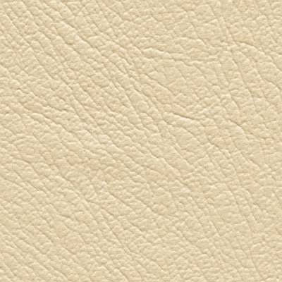 Matic_Vinyl_Coconut-7.jpg