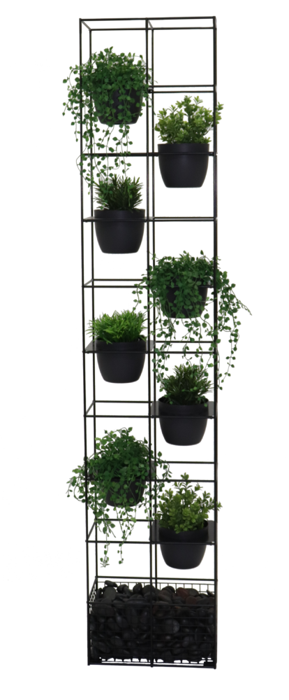 Rapid-Bloom-B-1-414x1000-1.png
