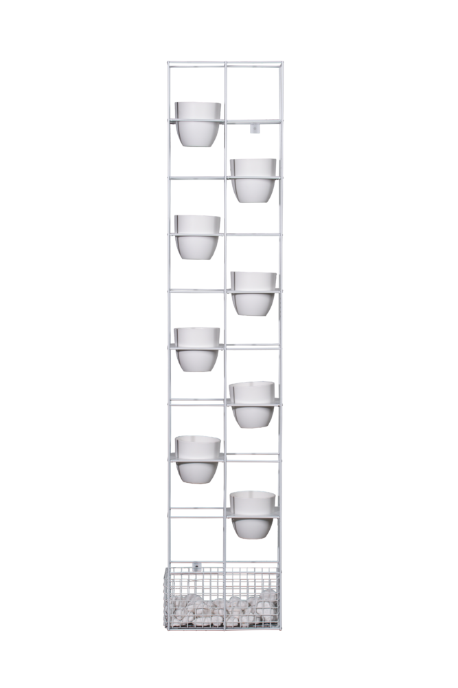 Rapid-Bloom-W-1-667x1000-1.png