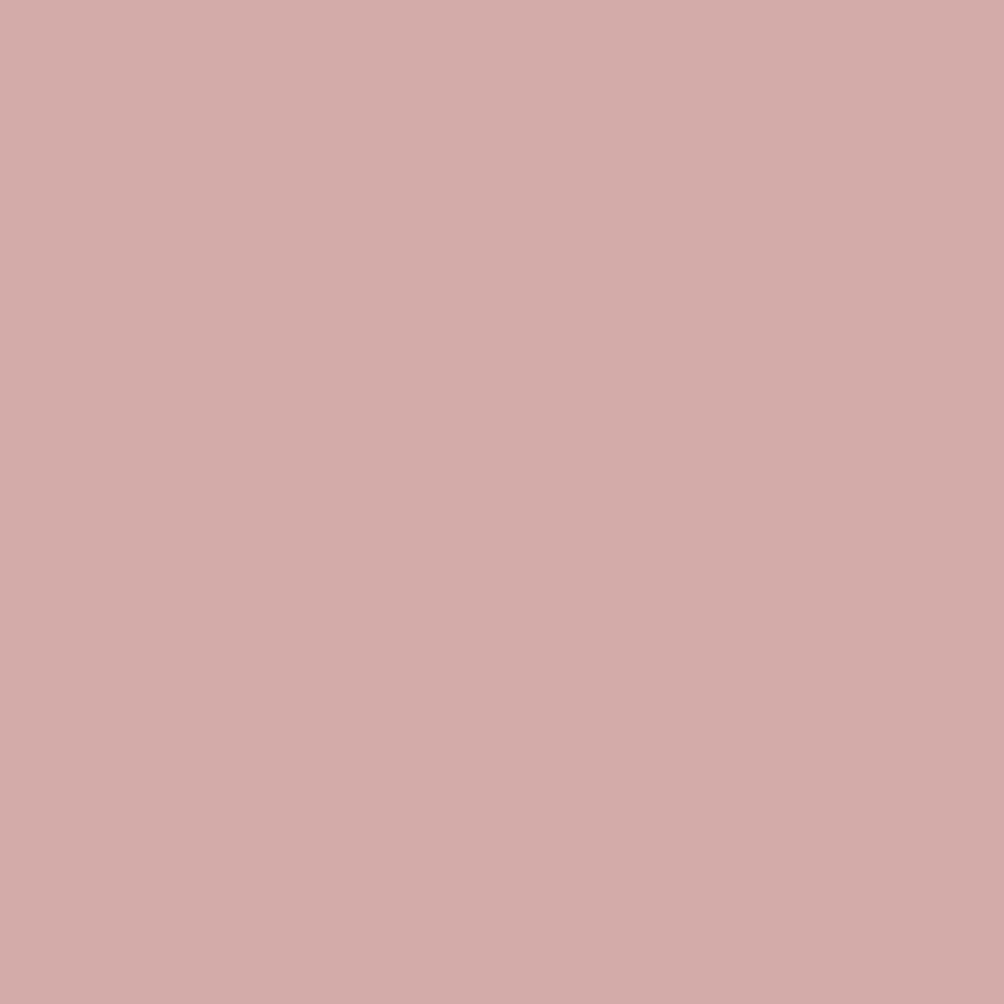 Salmon-5_7a400eb9-ac0c-41bf-b4ae-1125ef61c124.png
